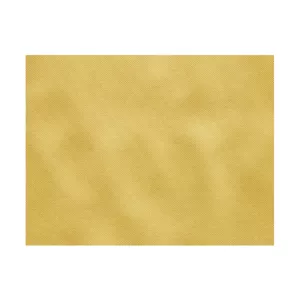 Set de table TNT 60g/m 30x40cm  Curry